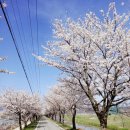 봉방 배수펌프장 이미지