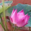 블로그&동영상제작 이미지