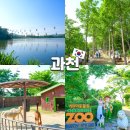 코끼리가든 | 과천 서울대공원 코끼리열차 테마가든 동물원 장미원 축제
