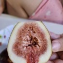 전라남도 농업박물관(주차장) 이미지