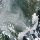 우주에서 본 시베리아 산불.."시베리아가 위험하다" 이미지