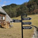 치유와 성찰의 숲, 정선 로미지안가든의 하루. 2025년 10월 25일ㅡ정선여행 1(긴글주의) 이미지