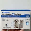 반려견 필수 영양제 강아지 오메가3 네이쳐스키 rTG 오메가-3
