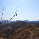 하하 태양광발전소 이미지