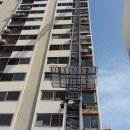 사파동264 이미지