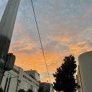 올리스 아시아드점 이미지