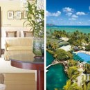 허니문2 이미지