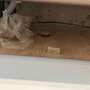 동원로얄듀크 | 부산 리모델링청소 동래구 낙민동 동원로얄듀크 감동 후기