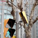 구청 앞 횡단보도 이미지