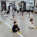 지축 타이거킥스태권도장 이미지