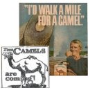 브리티쉬아메리칸토바코코리아제조(주) - 9566 | 상표이야기(1151) : CAMEL(카멜) 담배