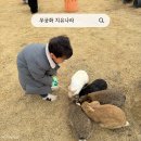 하북2길 | 평택 아이와 가볼만한곳 무궁화 치유나라 토끼체험부터 쿠킹클래스까지 완벽했던 후기 치유나라