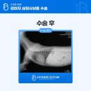 일곡동물병원 이미지