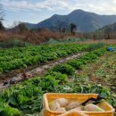 불로장수식당 이미지