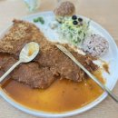 수제돈가스 | [나주 남평 맛집] 드들돈가스 수제돈가스 후기, 아이와 가기 좋은 돈가스집