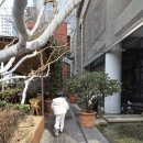 루체HOTEL | 청주 카페 기념일 추천 뮤제오 호텔 커피 딸기빙수 맛집 아메리카노 라운지 카페라떼 내돈내산