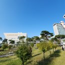 주정차32 | 2025 광주 김치축제 방문 후기, 맛있는 축제 보러 오세요