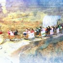 옹달샘꽃누름마을 이미지