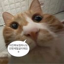 '2-14 | 홀드랩 써마3 - 내돈내산 - 2주후기 (14회차)