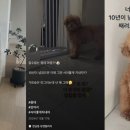 키집 티스토리