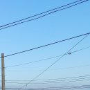 기분좋은민박 이미지