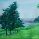 소나무 풍경 이미지