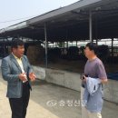 논산축산 - 서구 | 논산축산