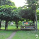 진산목장 이미지