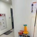 뮤라벨성인전문음악학원강남본원피아노바이올린성악 네이버블로그