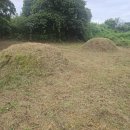 함평읍 자풍리~성남리 이미지