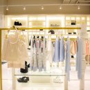 파인트리비 이미지