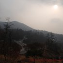 서울장묘사업소