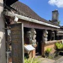 가우리 GAURI 이미지