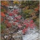 필례산장 이미지