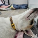 이지힐메딕스 이미지