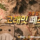 (주)이마트신제주점