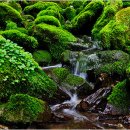 성장의 방식 이미지