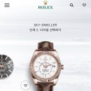 스카이로즈