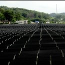 삼포마을 이미지