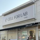 시크릿 | 건강관리하며 다이어트하기 셀포랩시크릿 후기