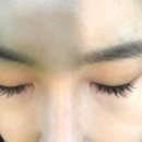 신디코리아 이미지