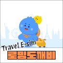 일본 eSIM팁 :: 내가 애용하는 로밍도깨비 e심 후기(feat. 친구 초대코드)
