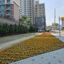 내토로59길 이미지