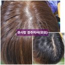 모모염색방