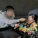 산골 | 더현대 서울 산골이유식 밥태기 극복 후기시판이유식