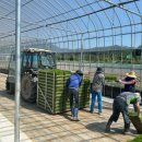 곡성-122 이미지