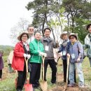 [데일리한국] [영상-종합] 산림청 '제4회 문학인과 함께하는 나무심기' 행사 가져 이미지