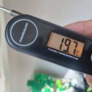 영천강로 이미지