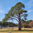 충북 보은 가볼만한 곳, 10선 ~ 추천 여행지, 인기 관광지, 맛집, 특산물 소개 🏞️