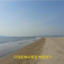 다대포해수욕장 이미지